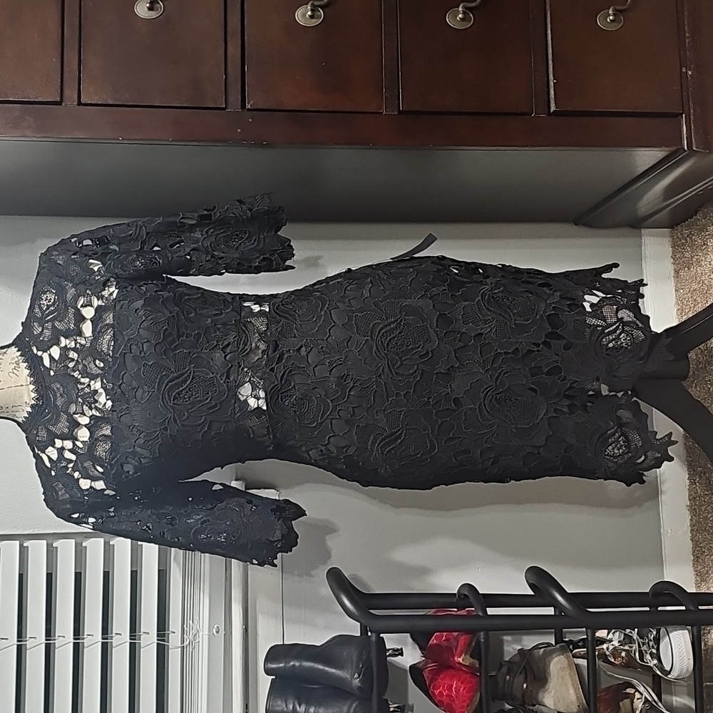 A Fine Romance Black Lace Sheath Dress